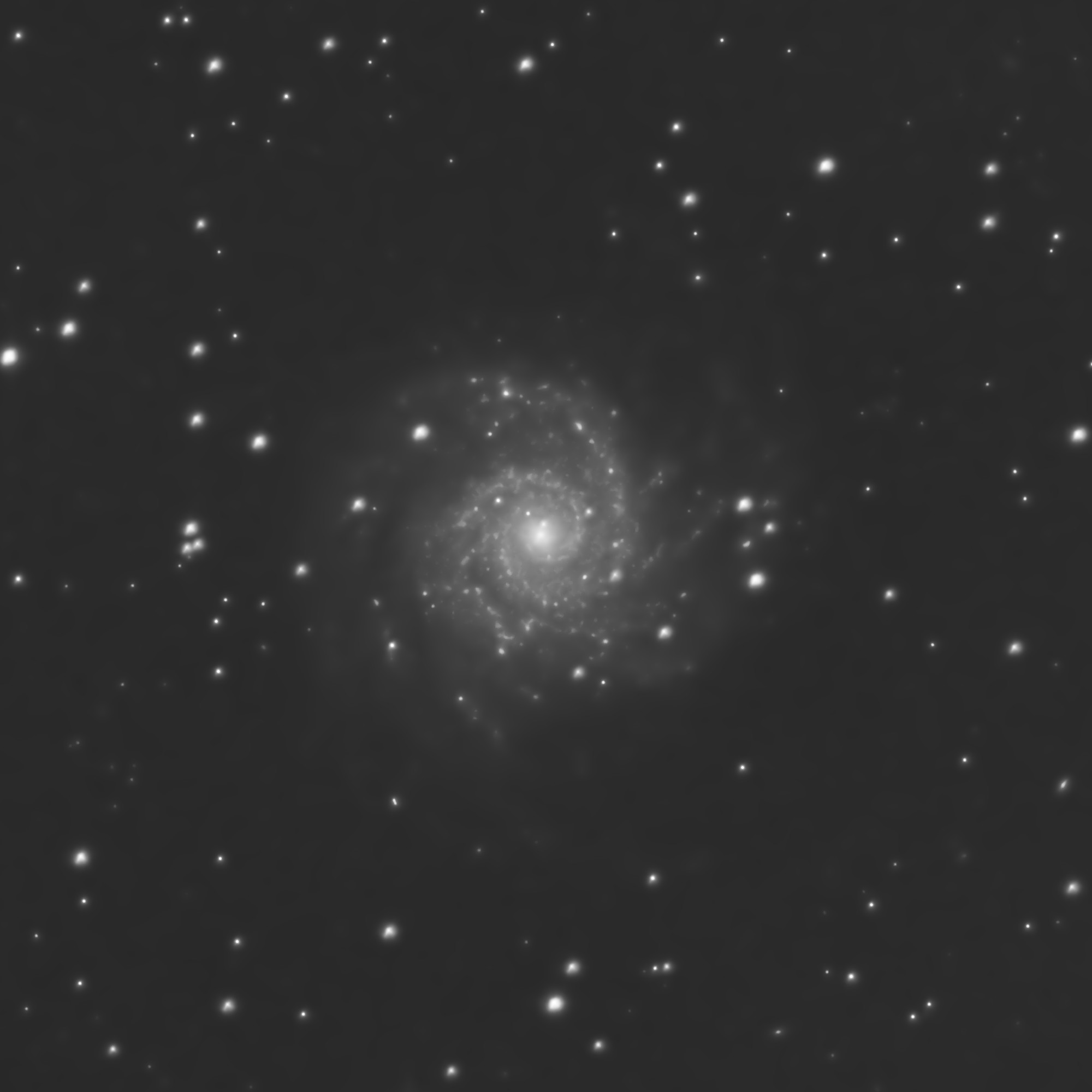 M 74