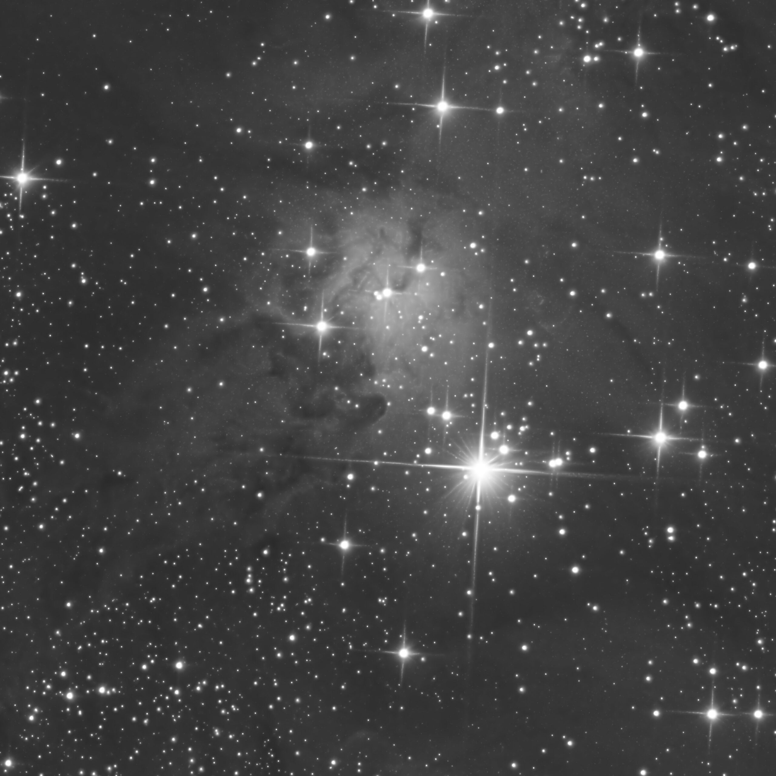 NGC 2264